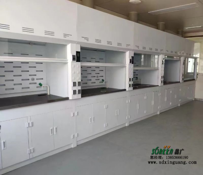 實驗室排風(fēng)柜