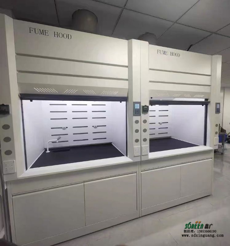 山東實驗室通風(fēng)柜廠家實驗臺廠家供應(yīng)