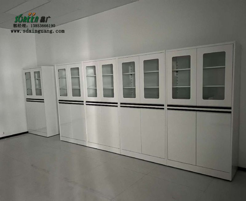 山東試劑柜廠(chǎng)家 實(shí)驗(yàn)室全鋼器皿柜儲(chǔ)物柜 加工定制