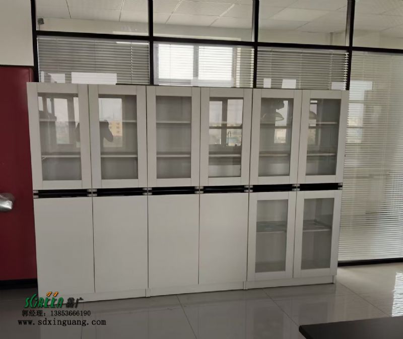 濰坊實驗臺設(shè)備實驗室器皿柜試劑柜生產(chǎn)廠家